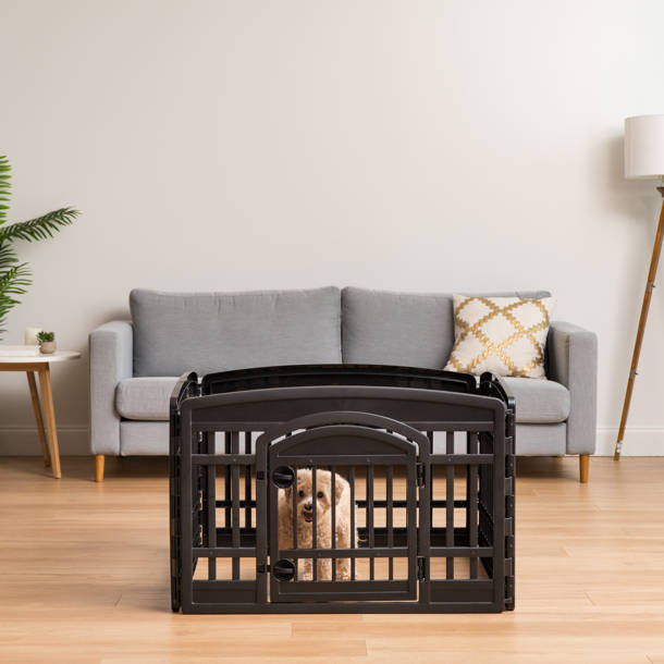 Richell Pet Training Kennel & Reviews Wayfair